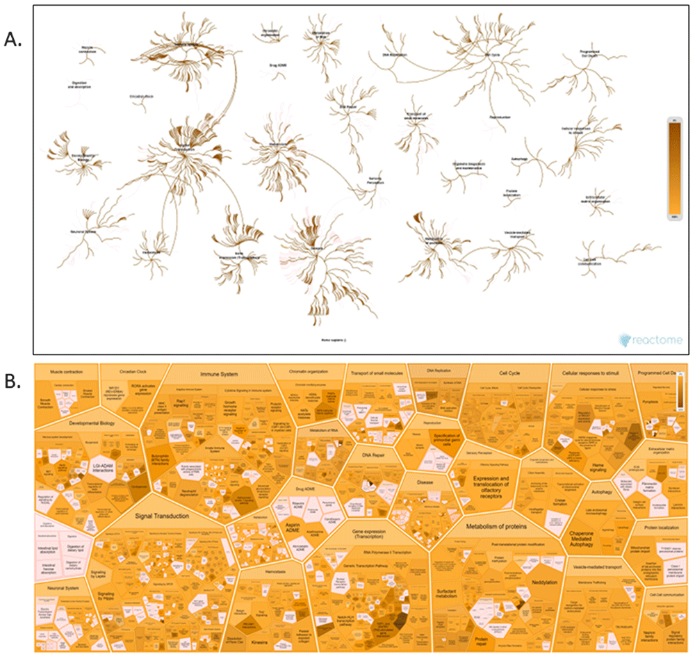 fbe1f340-d0e5-4da6-aa85-4a749b2ea677_figure7.gif