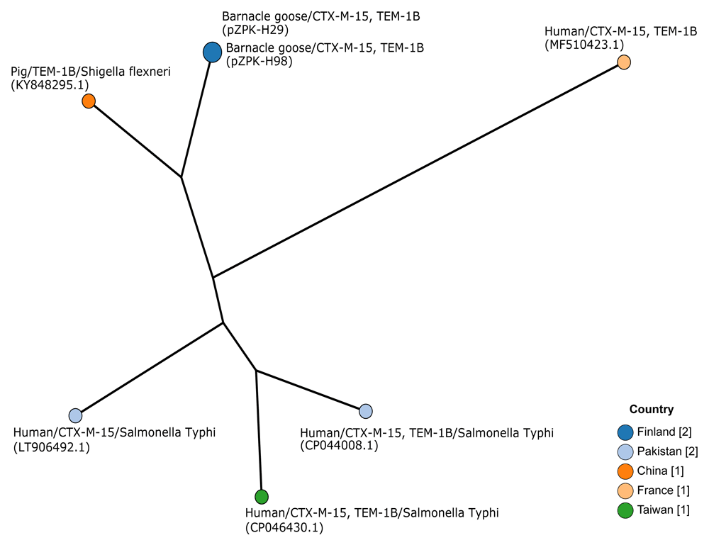 78b8b981-0410-49bc-b540-785afe0a7c7d_figure4.gif