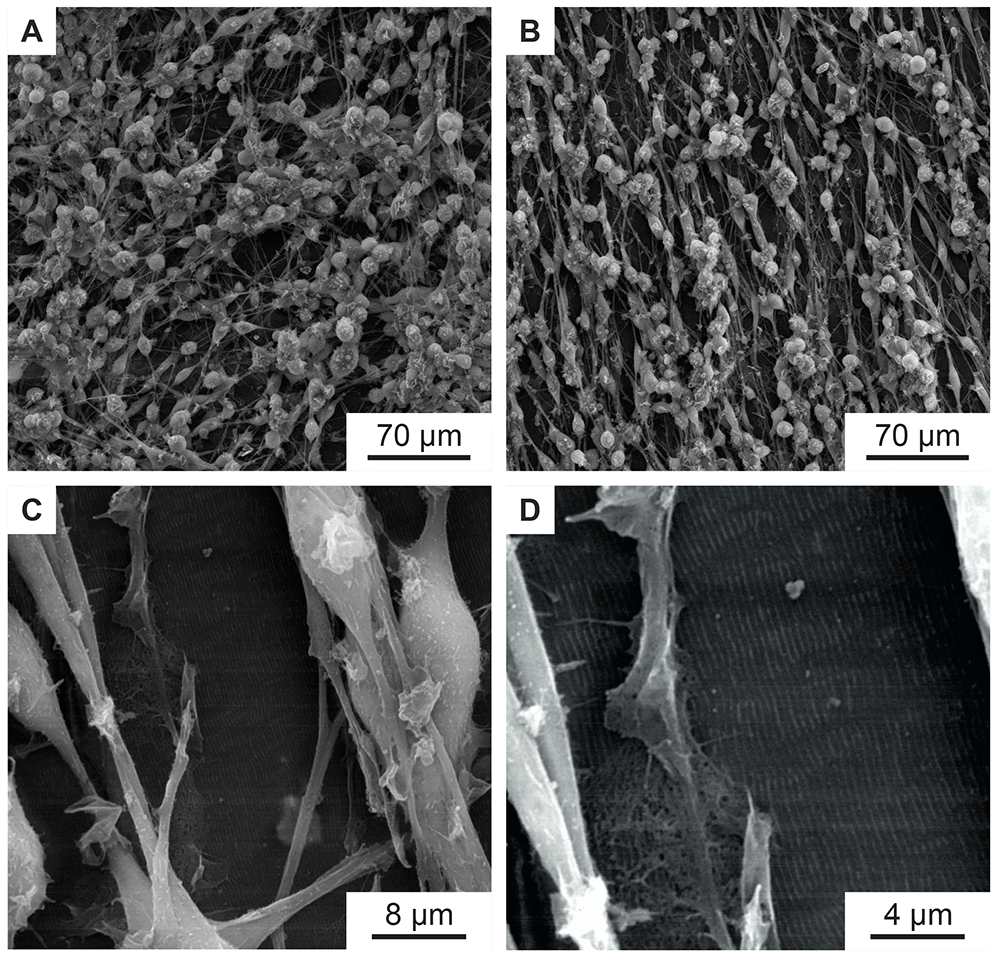 aca33e61-a3d2-40ab-b6f4-f1f42ad5faae_figure7.gif