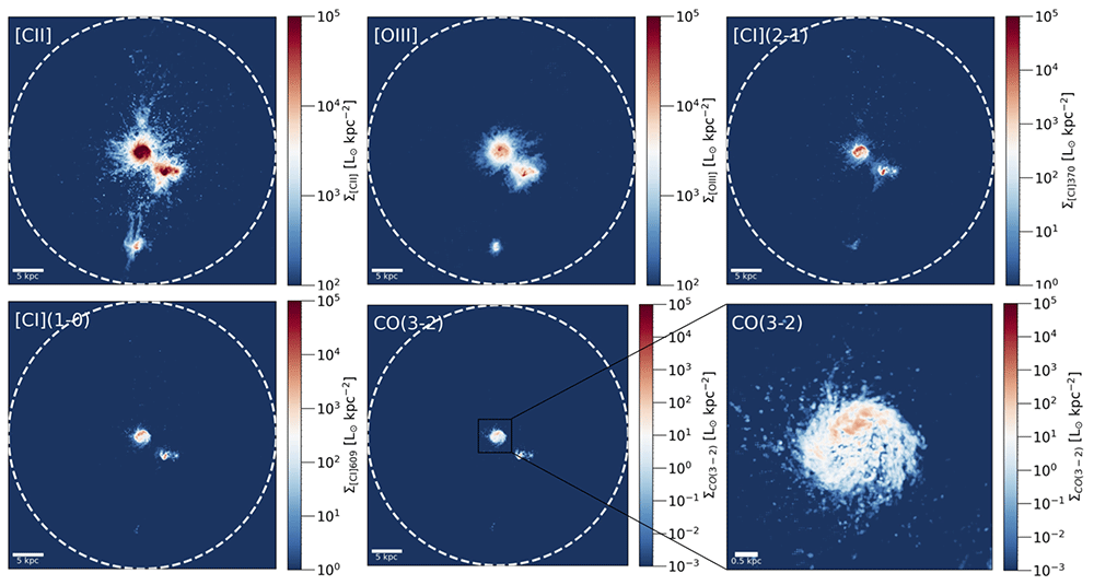 04731a48-510f-46ad-b16a-03a3a1f348c6_figure4.gif