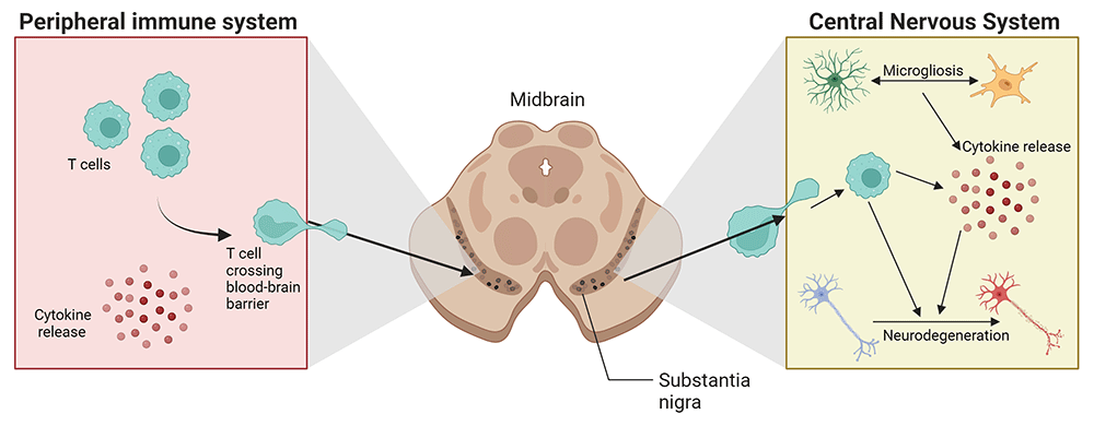 20a7f17b-5e7c-4f9e-a5eb-b3b27aba31ed_figure3.gif