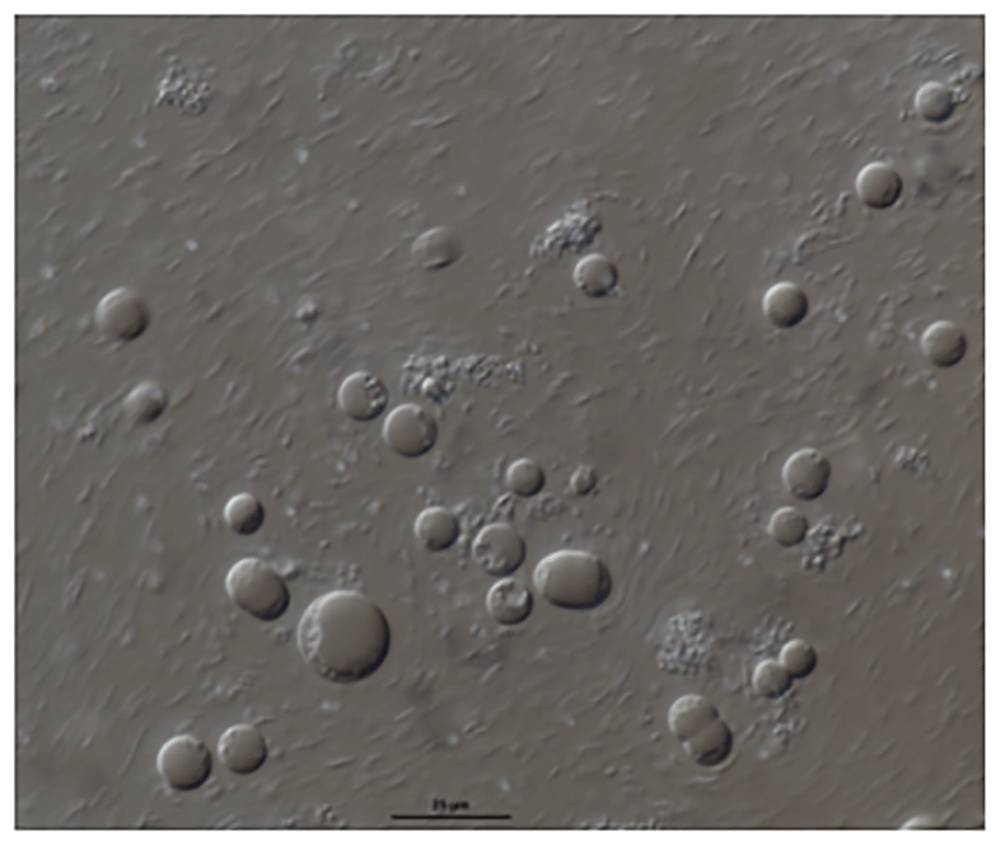 f2b19a9d-1fb5-4fa5-a7b9-7c06baef466d_figure1.gif
