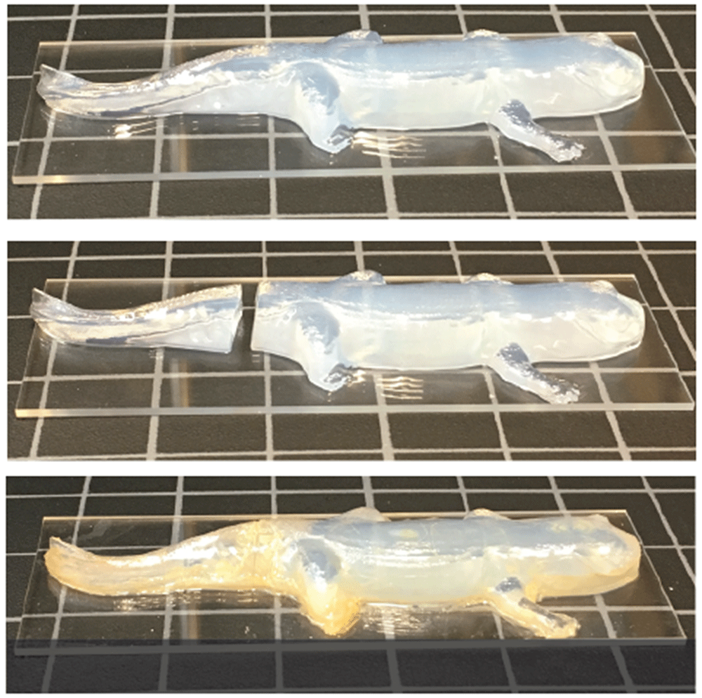 917cc1e4-b1a0-4315-8c91-6230635b9ca8_figure6.gif