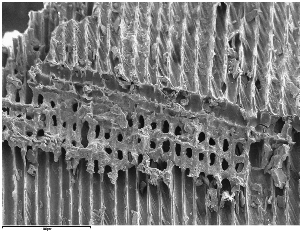 52ffbfc7-577b-42b4-b781-9d8f884ded02_figure3.gif