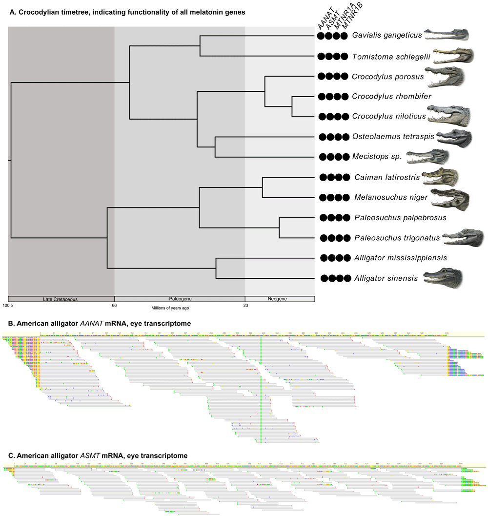 03fcab64-df78-4afd-82a6-17d5cc0a733c_figure3.gif
