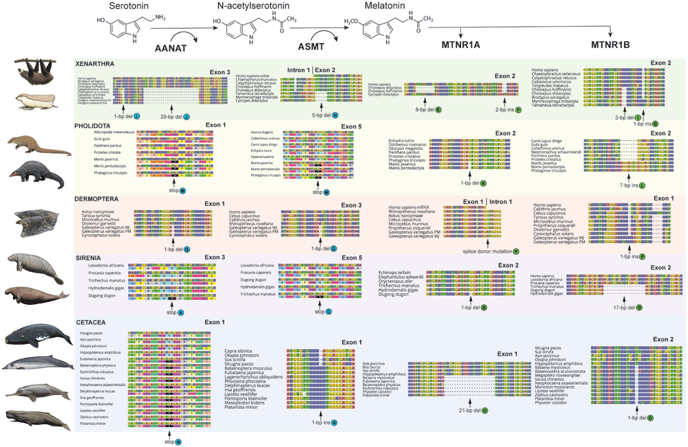 fa13c6f6-d27f-4b40-a75d-40048154b71c_figure2.gif