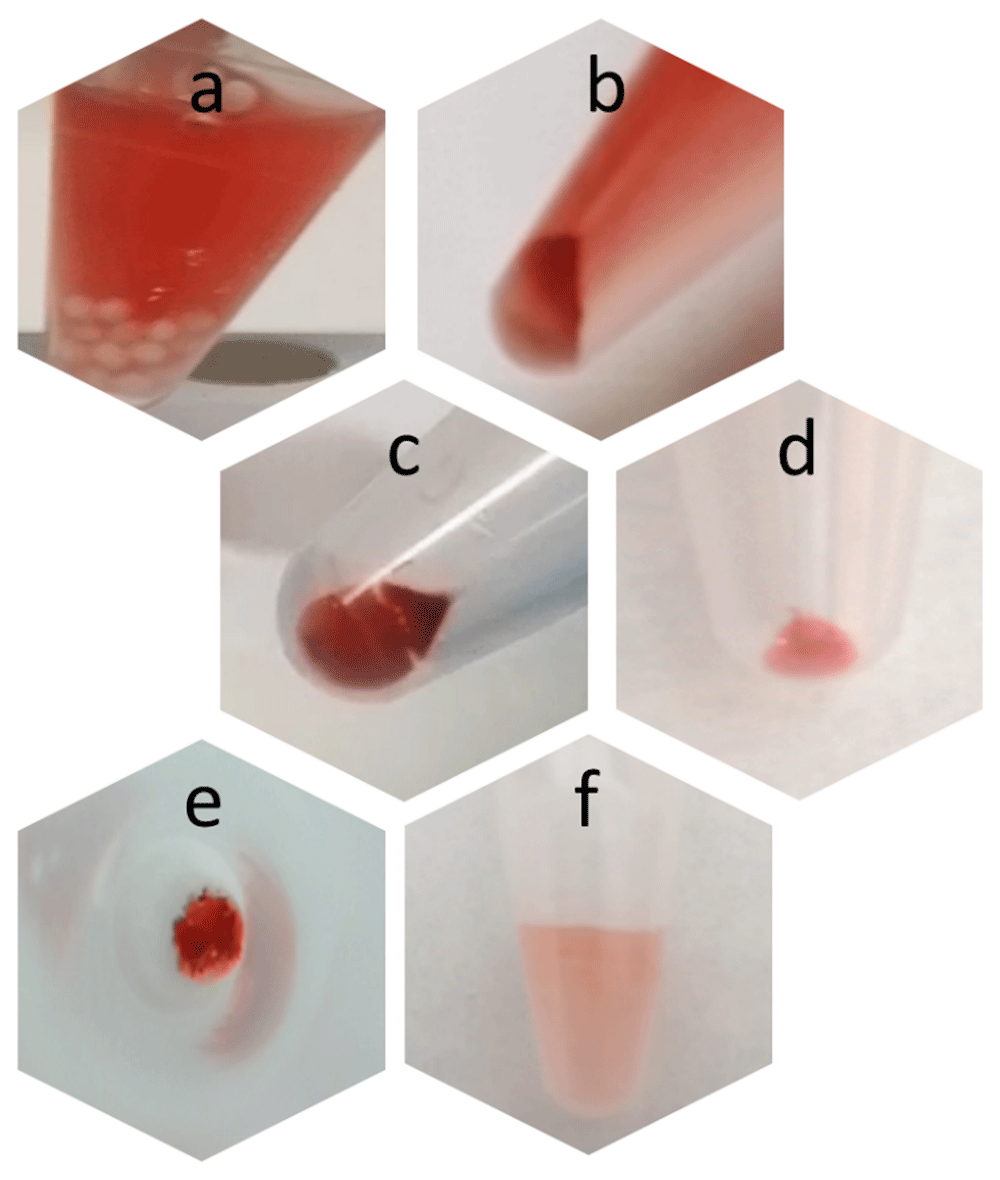 f5f493b9-2a6f-45d2-8d67-74dc8548309b_figure3.gif