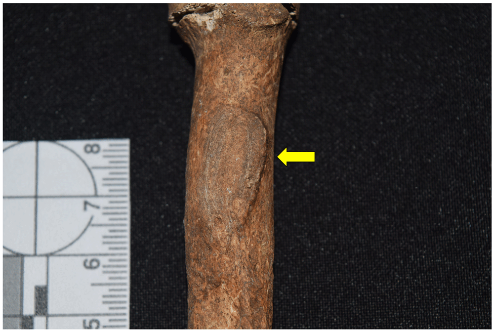 12afbf35-1783-44db-b708-10d1394df588_figure19.gif