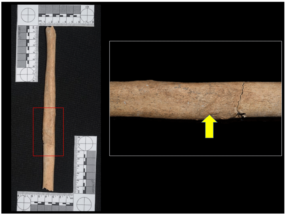12afbf35-1783-44db-b708-10d1394df588_figure20.gif