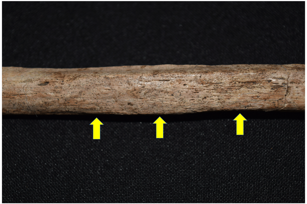 12afbf35-1783-44db-b708-10d1394df588_figure25.gif