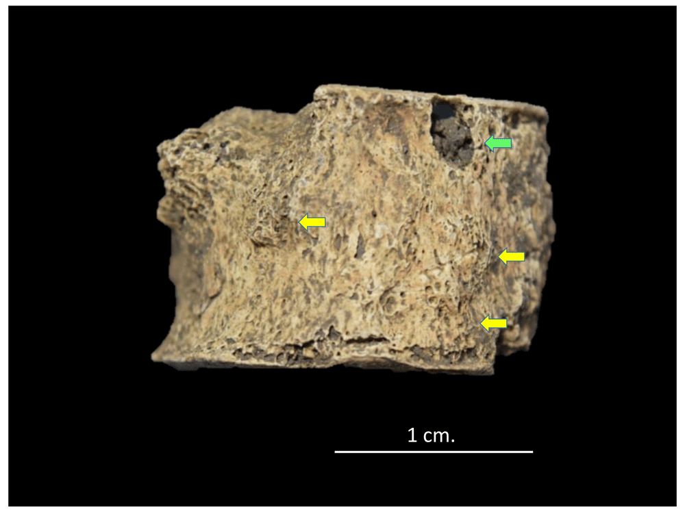 12afbf35-1783-44db-b708-10d1394df588_figure30.gif