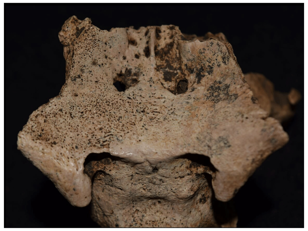 12afbf35-1783-44db-b708-10d1394df588_figure34.gif