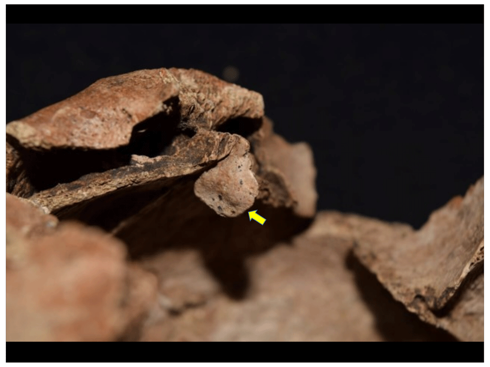 12afbf35-1783-44db-b708-10d1394df588_figure35.gif