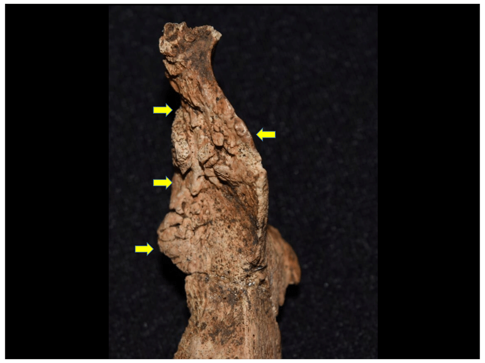 12afbf35-1783-44db-b708-10d1394df588_figure36.gif