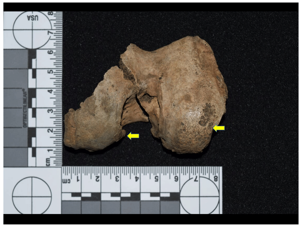 12afbf35-1783-44db-b708-10d1394df588_figure42.gif