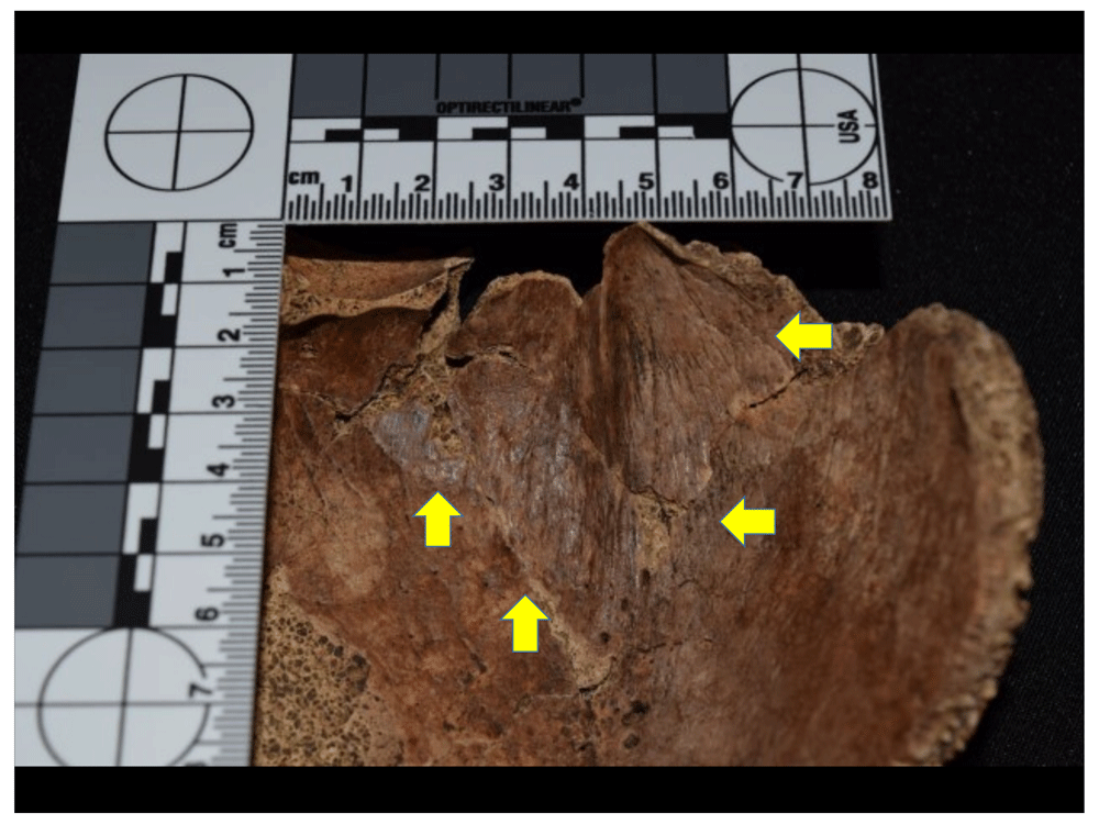 12afbf35-1783-44db-b708-10d1394df588_figure48.gif