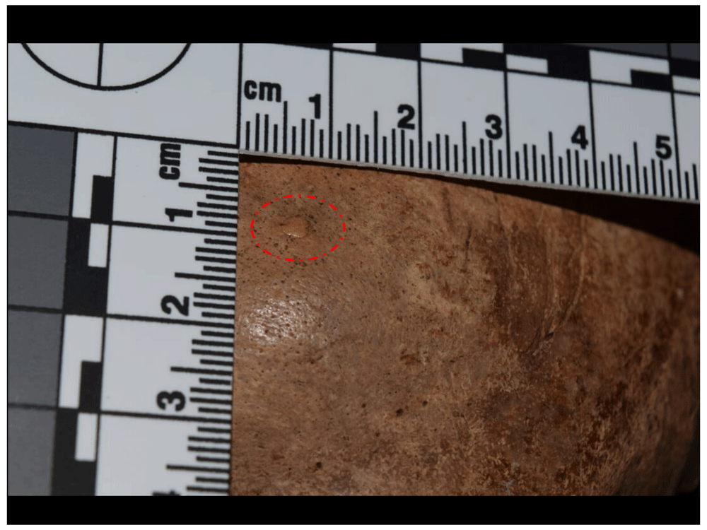 12afbf35-1783-44db-b708-10d1394df588_figure58.gif