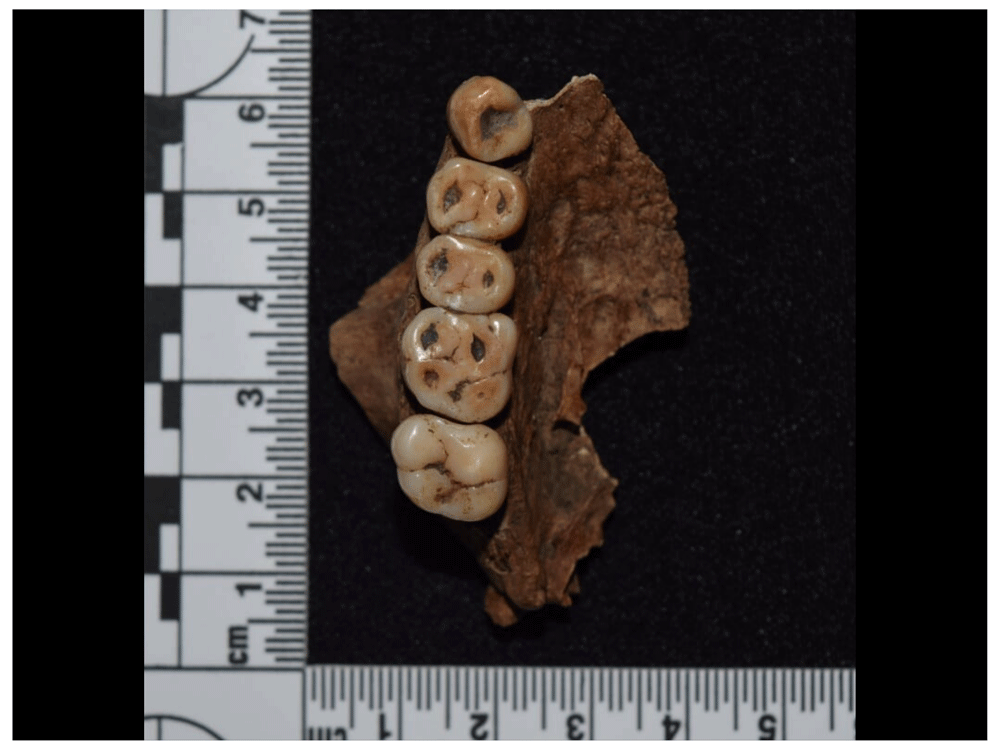 12afbf35-1783-44db-b708-10d1394df588_figure77.gif