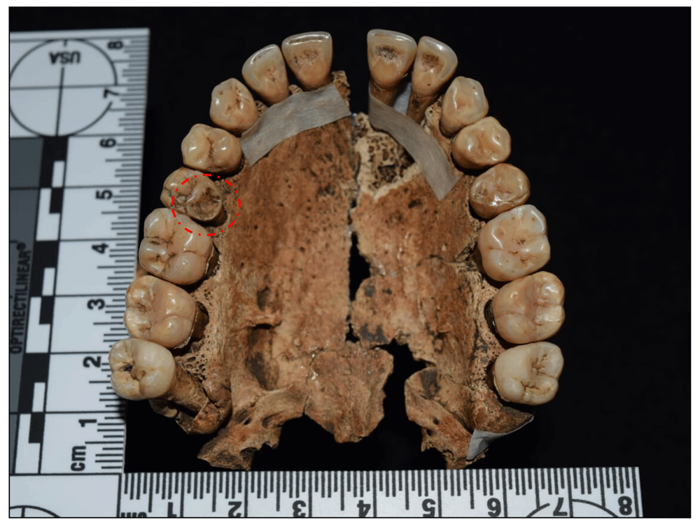 12afbf35-1783-44db-b708-10d1394df588_figure81.gif