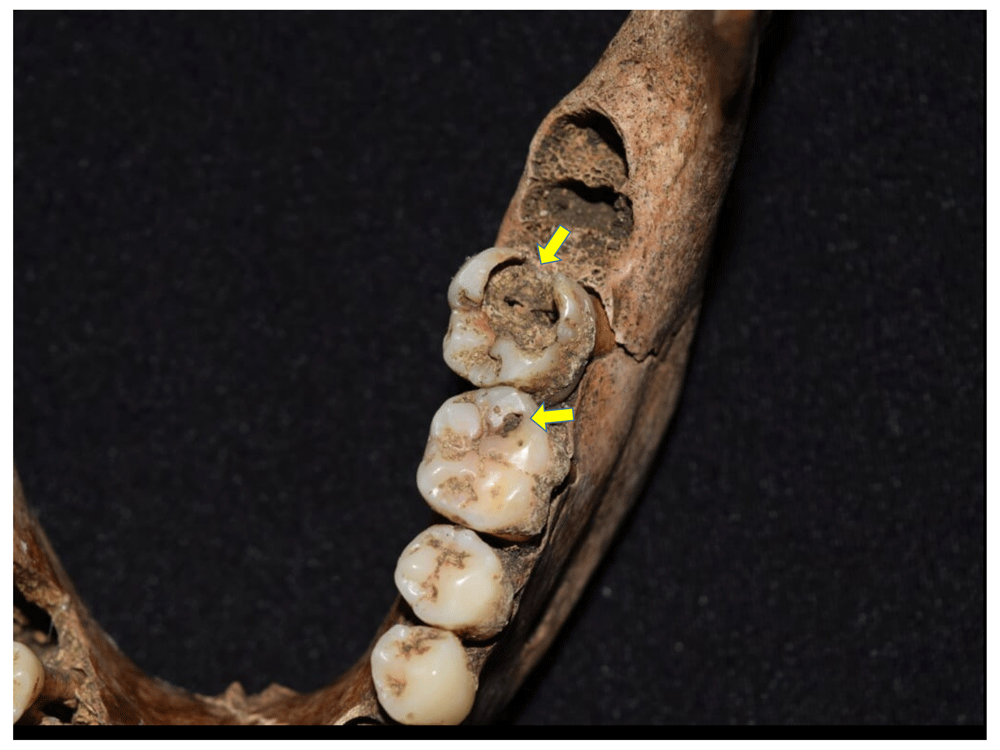 12afbf35-1783-44db-b708-10d1394df588_figure88.gif