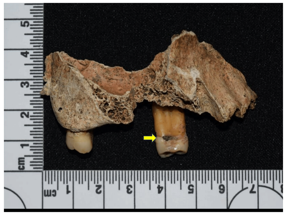 12afbf35-1783-44db-b708-10d1394df588_figure89.gif