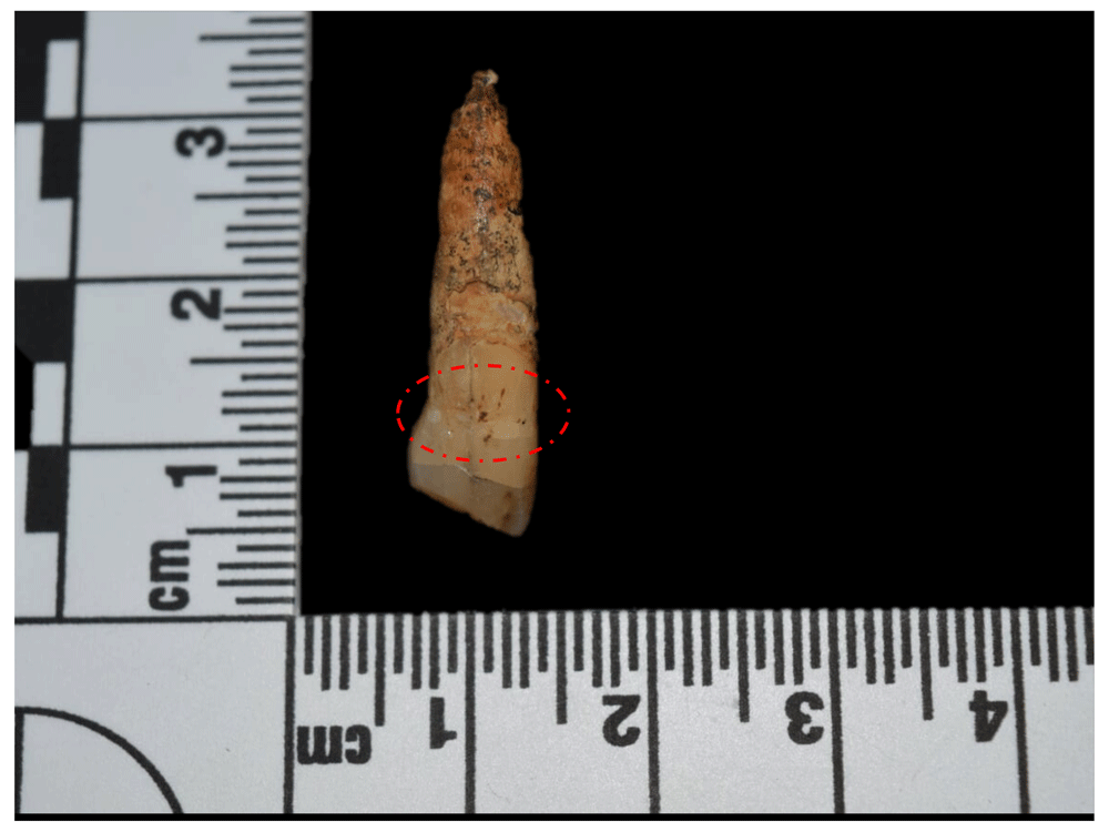 12afbf35-1783-44db-b708-10d1394df588_figure100.gif