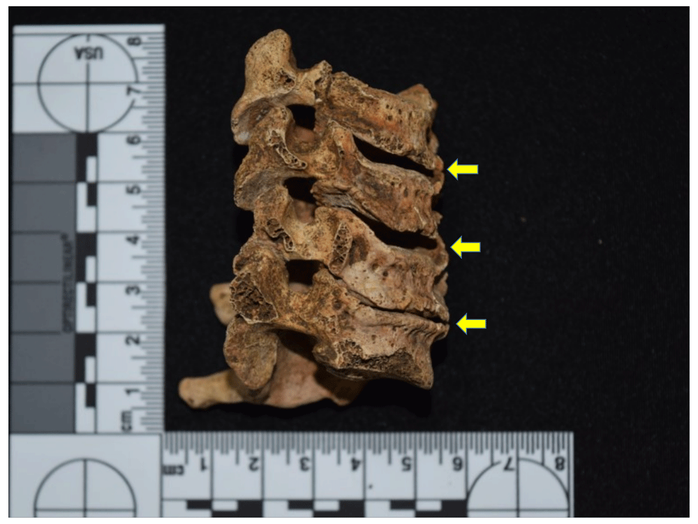 12afbf35-1783-44db-b708-10d1394df588_figure118.gif