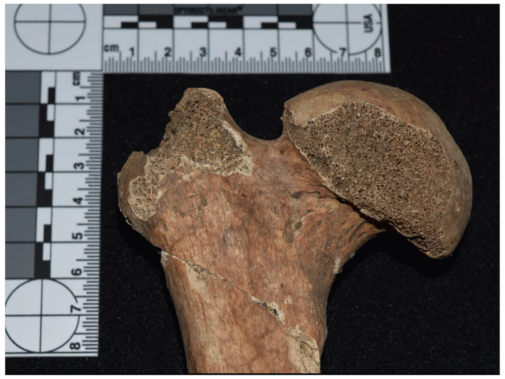 12afbf35-1783-44db-b708-10d1394df588_figure124.gif