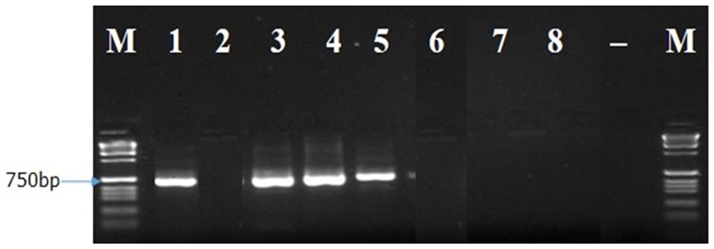 c3f108d4-c70e-41cb-a61b-faaf325c9b2b_figure7.gif