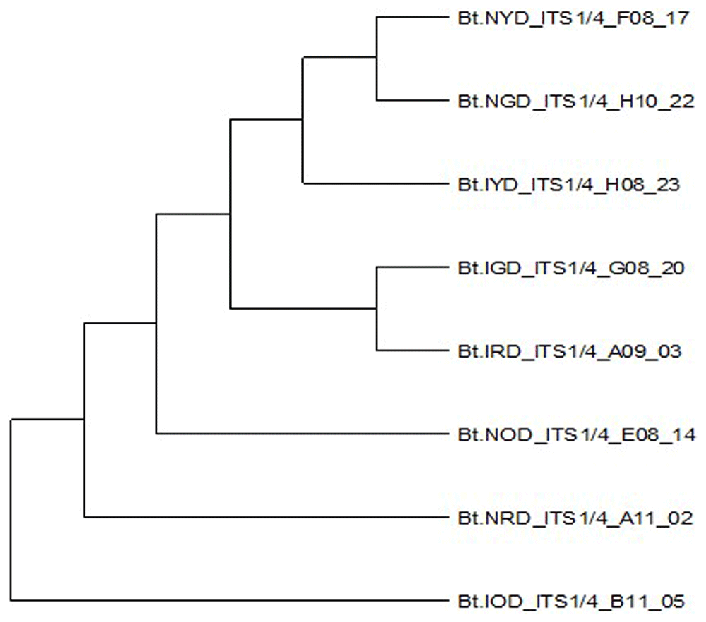 c3f108d4-c70e-41cb-a61b-faaf325c9b2b_figure8.gif
