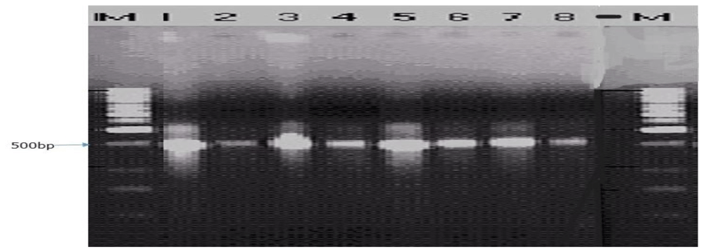 ff0b0890-51cc-4eac-a78f-9cb6ae6aa283_figure5.gif
