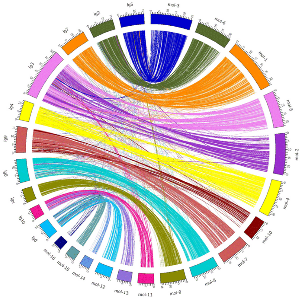 7456000a-f227-490f-9e50-d4c43794edfd_figure3.gif