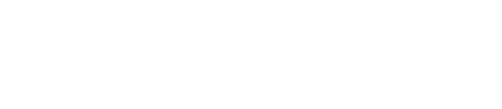 Visit Swedish Research Council website