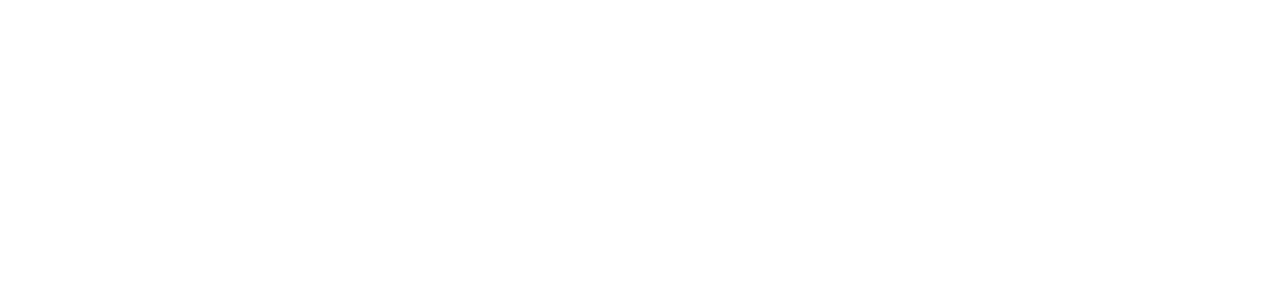 Visit Swiss National Science Foundation website