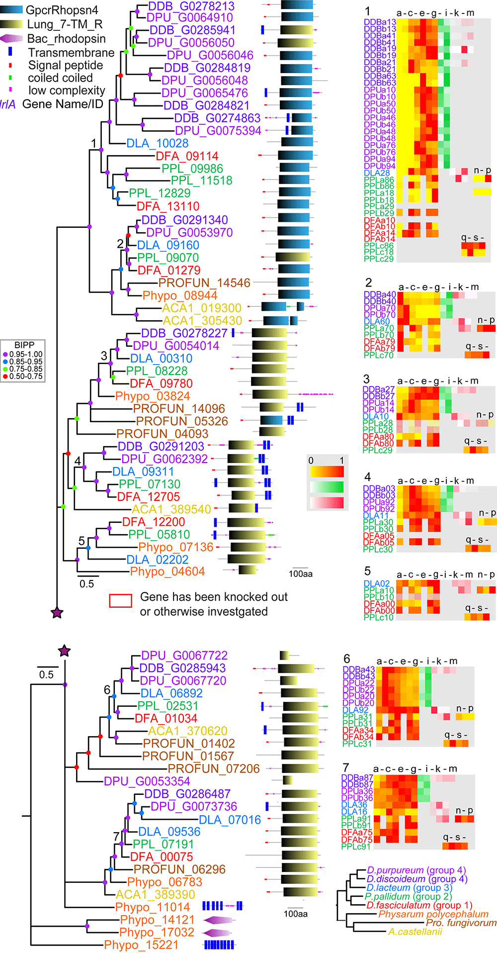 0c9fb4b4-848d-4500-a6f5-abeec835bd43_figure1.gif