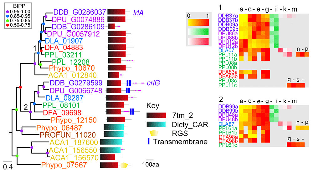 0c9fb4b4-848d-4500-a6f5-abeec835bd43_figure2.gif