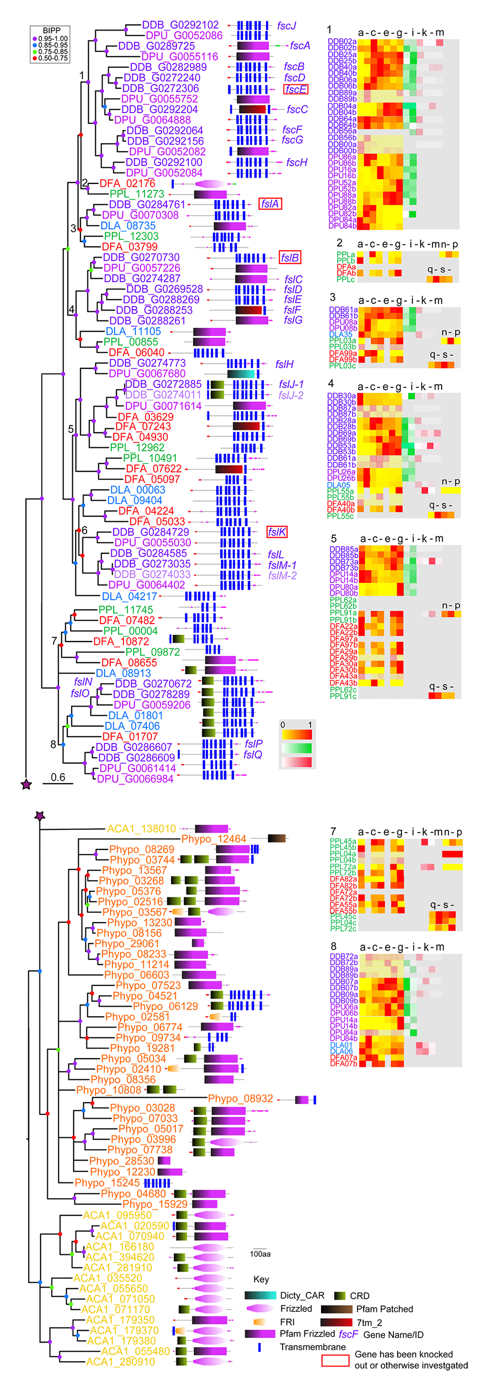 0c9fb4b4-848d-4500-a6f5-abeec835bd43_figure4.gif